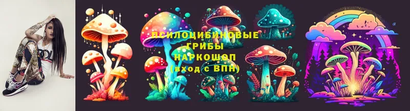 где можно купить   Кудымкар  Галлюциногенные грибы Psilocybine cubensis 